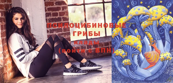 2c-b Верея